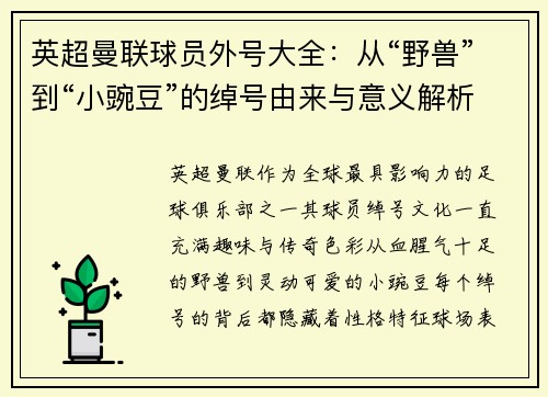 英超曼联球员外号大全：从“野兽”到“小豌豆”的绰号由来与意义解析